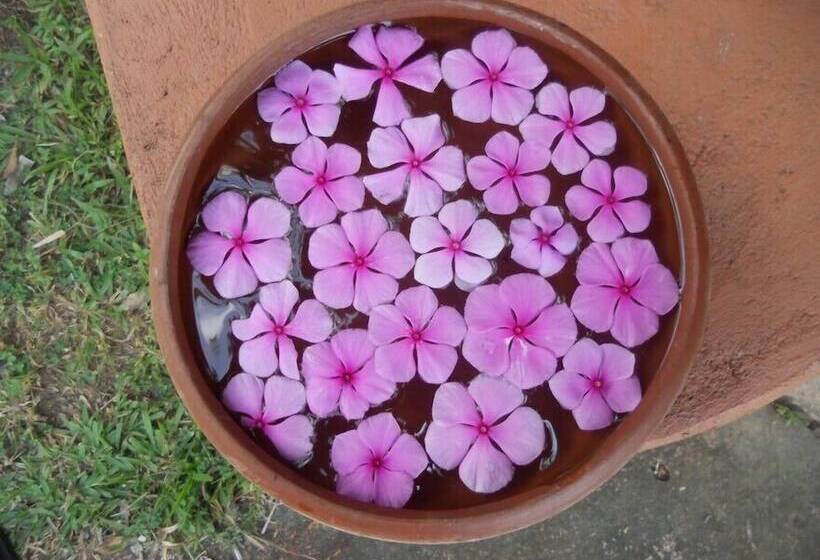 Eva Lanka Hotel   Beach & Wellness