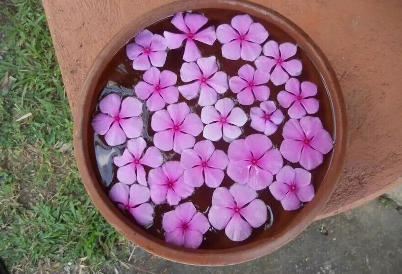 Eva Lanka Hotel Beach & Wellness