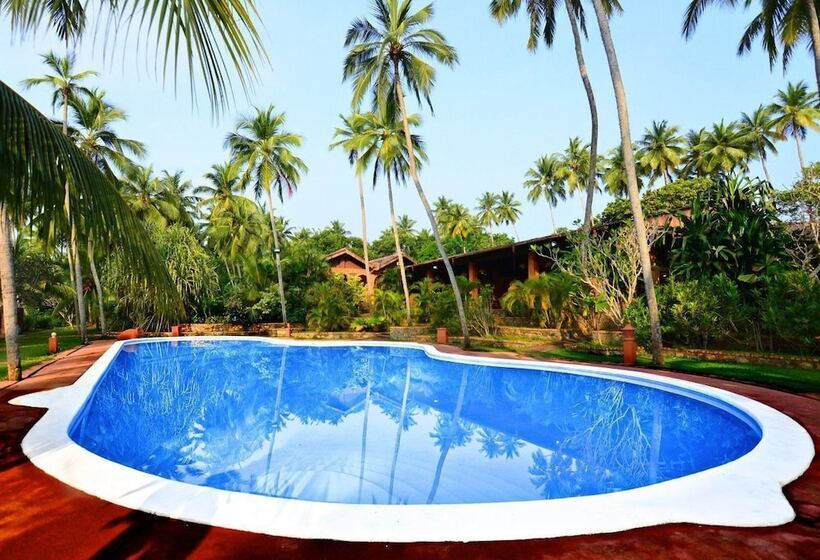 Eva Lanka Hotel   Beach & Wellness