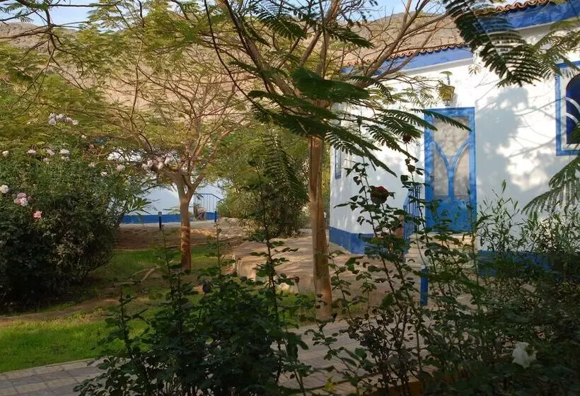 هتل International Hot Spring