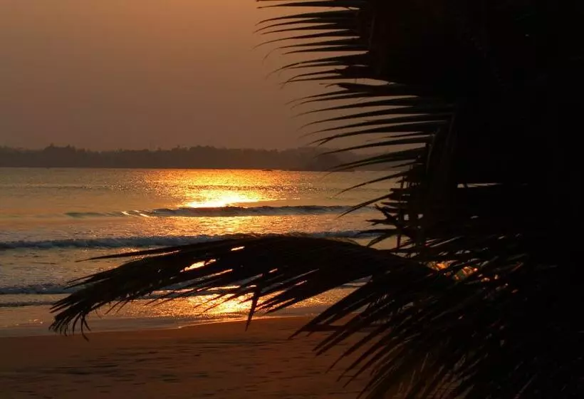 호텔 Jagabay Resort & Surfing School