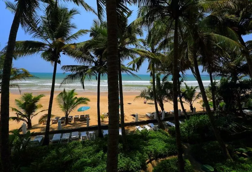 호텔 Jagabay Resort & Surfing School