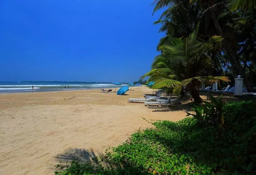 호텔 Jagabay Resort & Surfing School