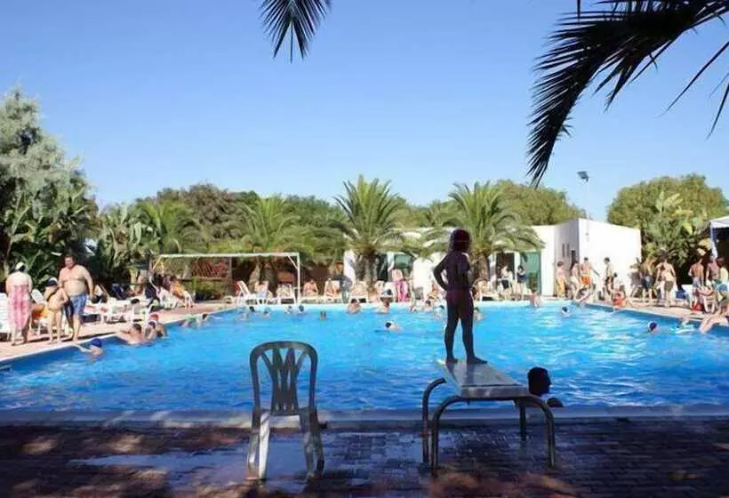 בית מלון כפרי Kamemi Village & Camping