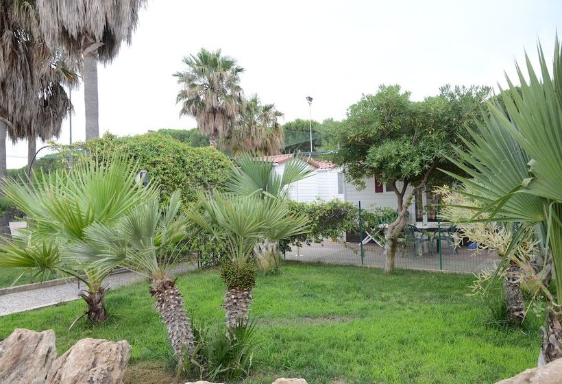 فندق Kamemi Village & Camping