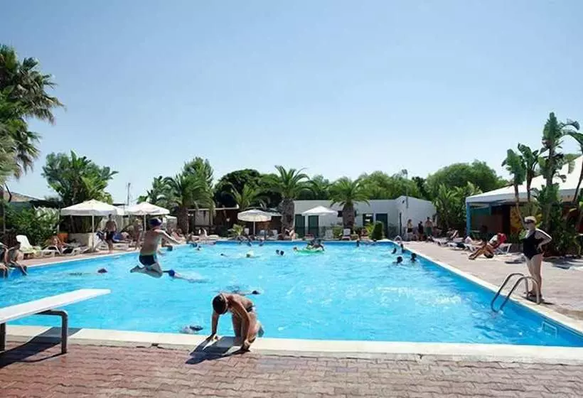 בית מלון כפרי Kamemi Village & Camping