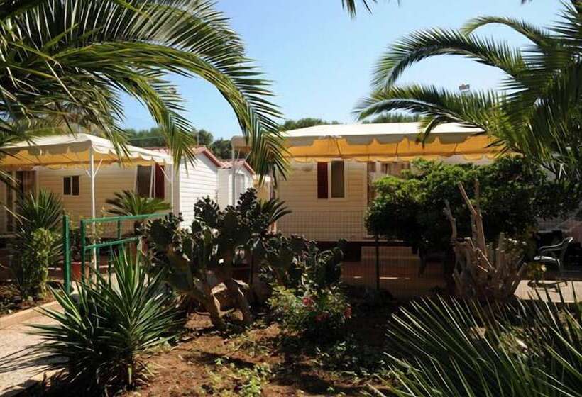 فندق Kamemi Village & Camping