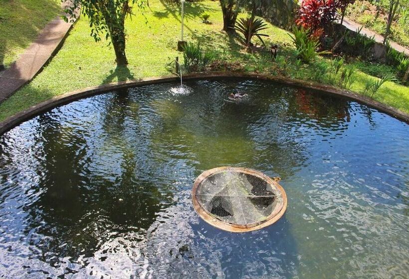 酒店 Pousada Paraíso Shangrilla