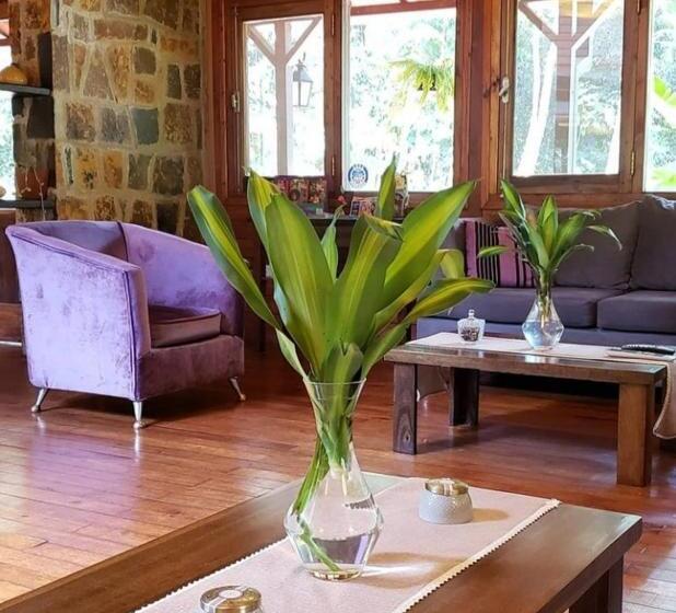 Otel Selva De Laurel