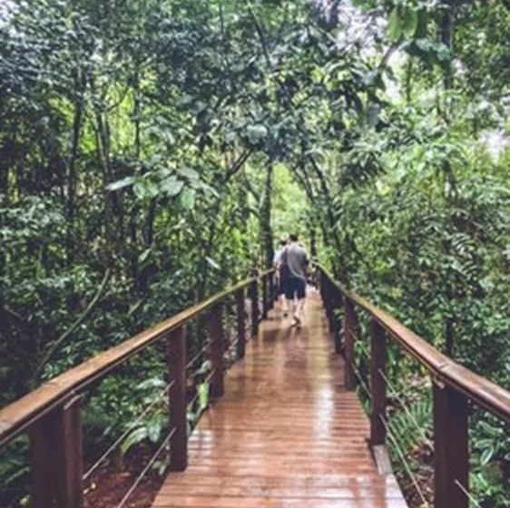 Otel Selva De Laurel