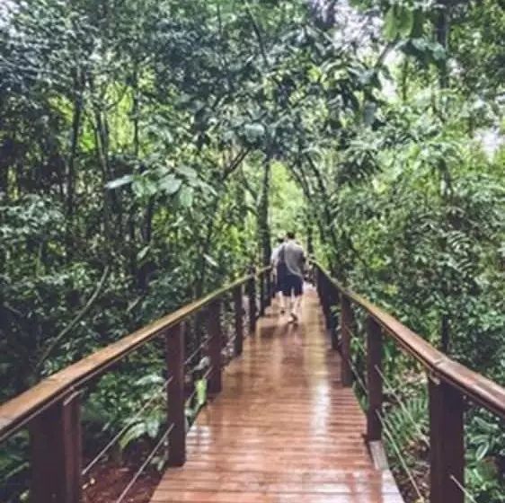 ホテル Selva De Laurel