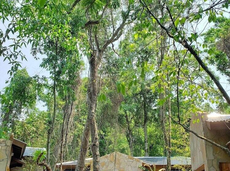 Otel Selva De Laurel