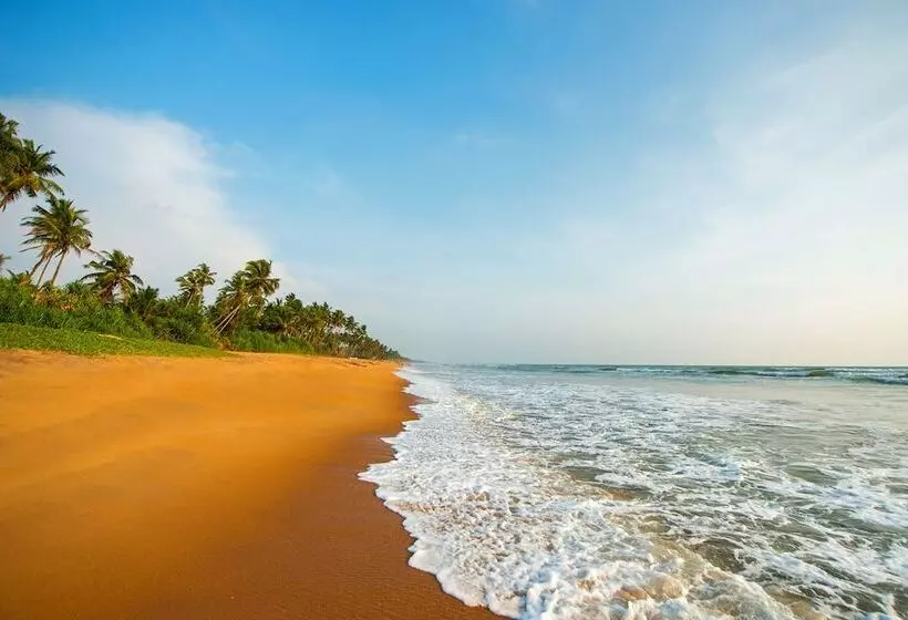 호텔 Taprobana Wadduwa By Asia Leisure