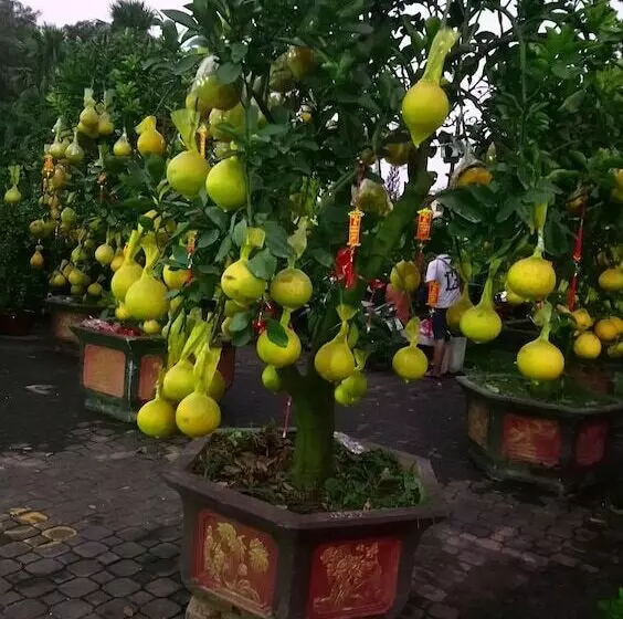 Sao Nam Hotel   Bui Vien Walking Street