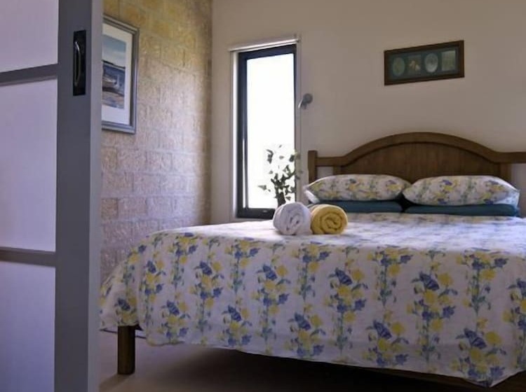 The Rookery At Christmas Cove