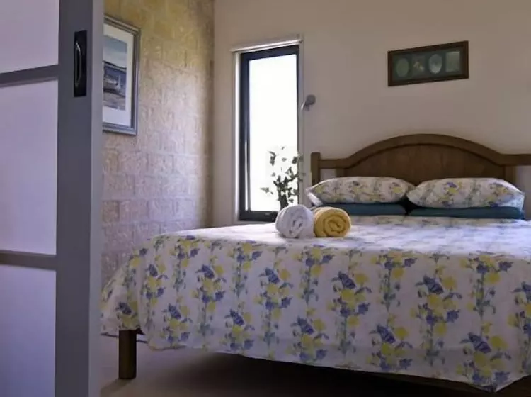 The Rookery At Christmas Cove