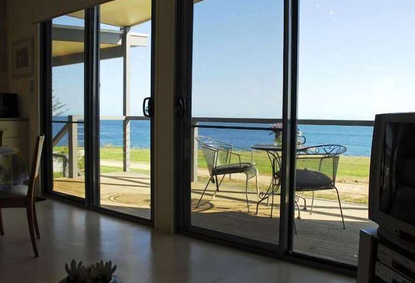 The Rookery At Christmas Cove