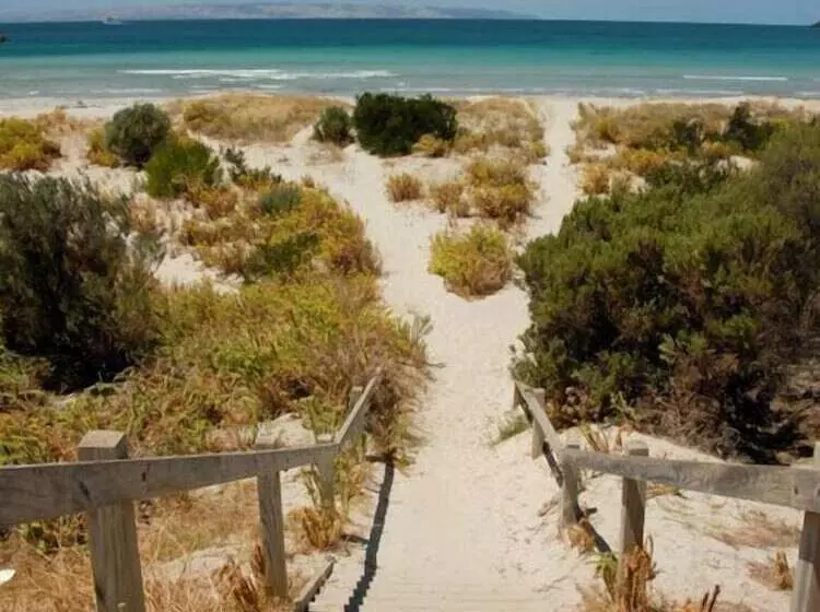 The Rookery At Christmas Cove