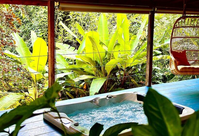 تختخواب و صبحانه Habitation Caféière Samana Beauséjour