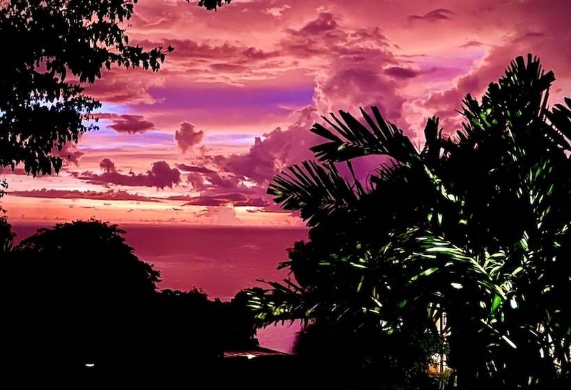 تختخواب و صبحانه Habitation Caféière Samana Beauséjour