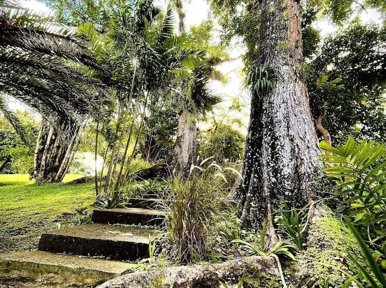 تختخواب و صبحانه Habitation Caféière Samana Beauséjour