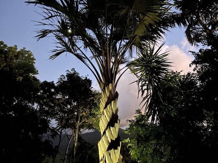 تختخواب و صبحانه Habitation Caféière Samana Beauséjour