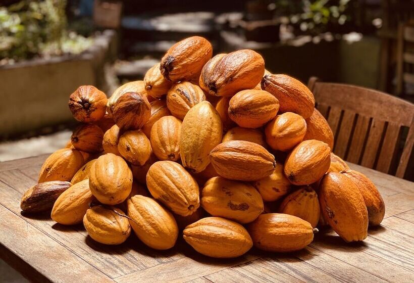 تختخواب و صبحانه Habitation Caféière Samana Beauséjour