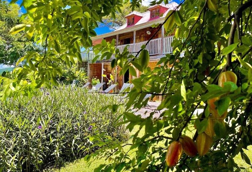 تختخواب و صبحانه Habitation Caféière Samana Beauséjour