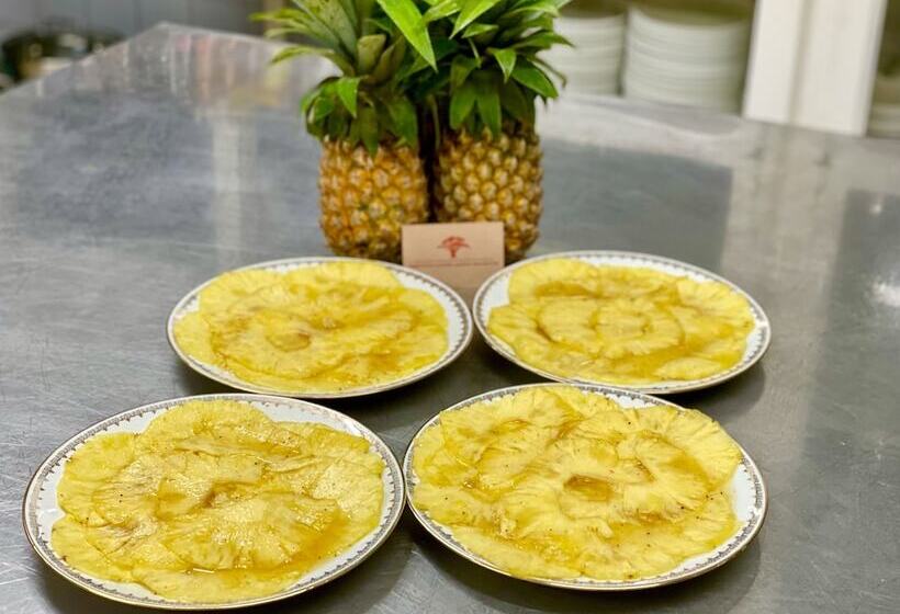 تختخواب و صبحانه Habitation Caféière Samana Beauséjour