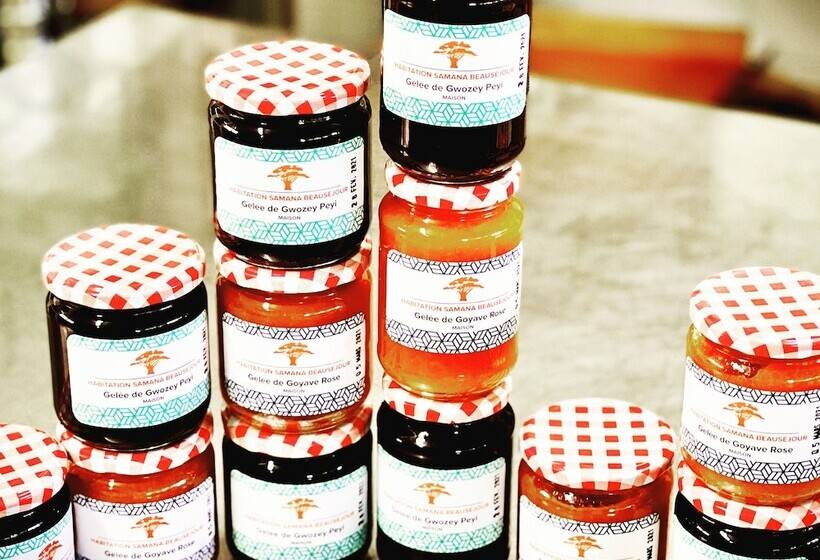 تختخواب و صبحانه Habitation Caféière Samana Beauséjour