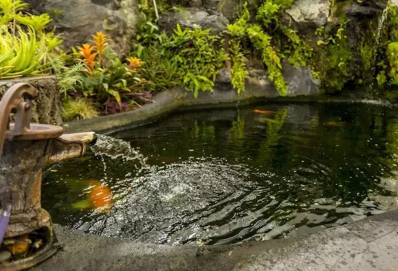 Aamiaismajoitus (B&B) Luana Nai A Inn