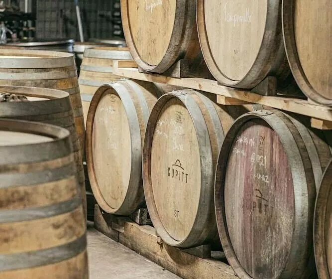 Hotelli Cupitt S Estate