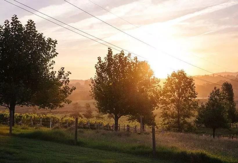 Hotelli Cupitt S Estate