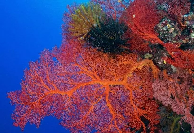 هتل Intercontinental Lifou Wadra Bay Resort By Ihg