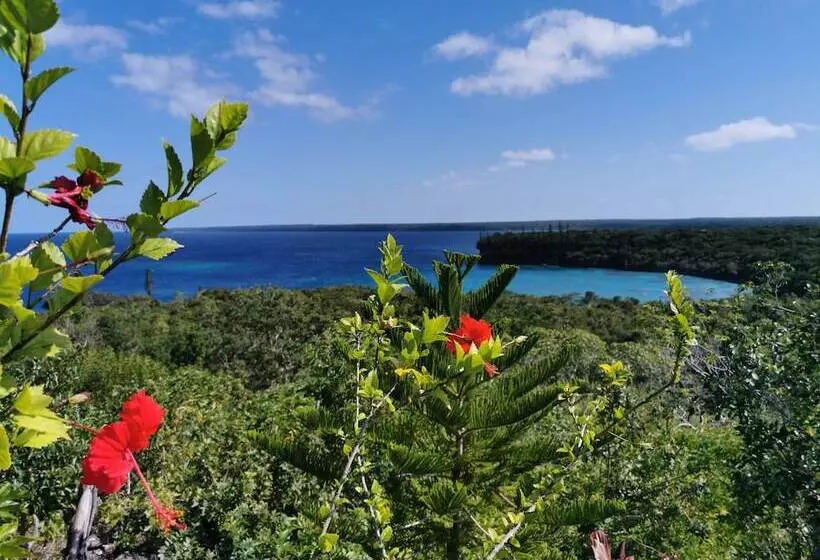 هتل Intercontinental Lifou Wadra Bay Resort By Ihg
