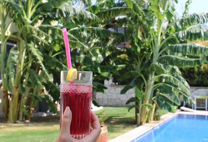 בית מלון כפרי Odabasi Su Alacati