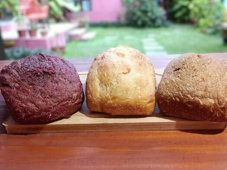 ホテル Pousada Lira Praieira