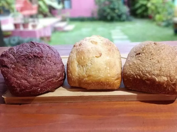 ホテル Pousada Lira Praieira