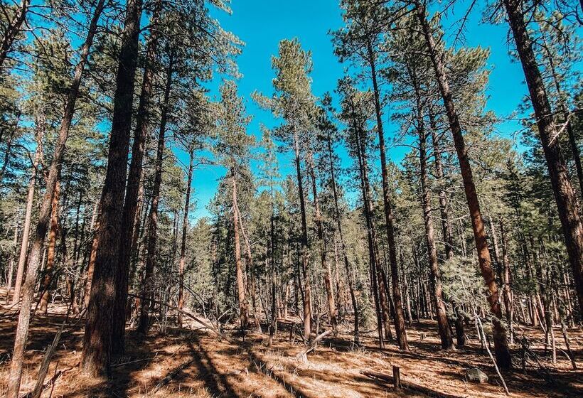 호텔 Starlight Camp Mount Rushmore