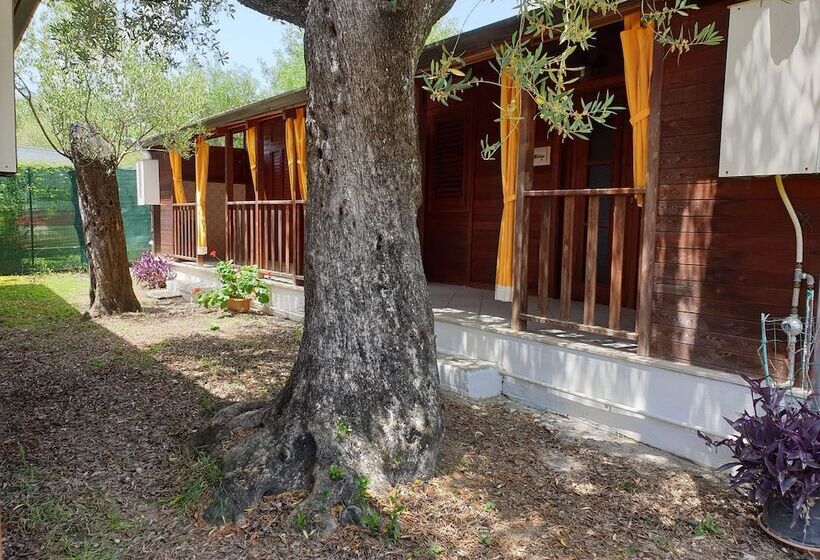 레지던스 Summer Paradise