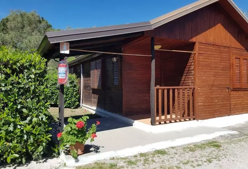 Residenssi Summer Paradise