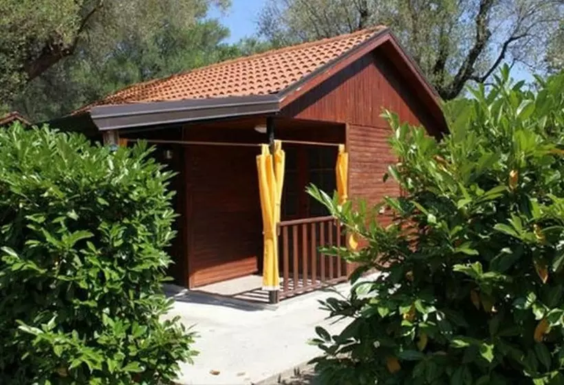 Residenssi Summer Paradise