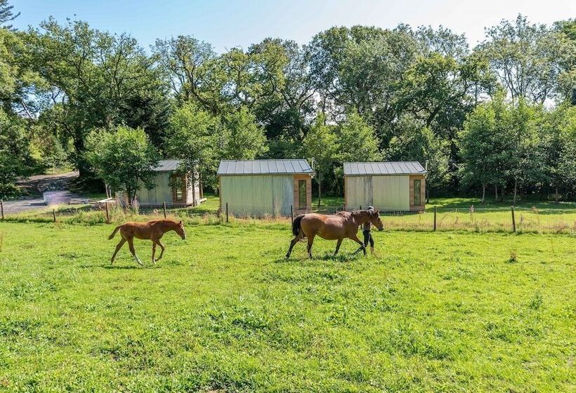 Sunset Cabins At The Oaks Woodland Retreat