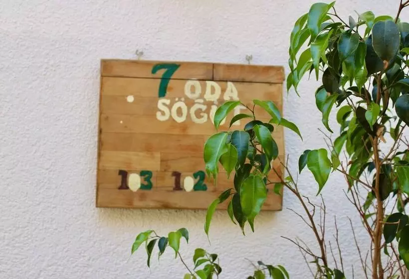 Aamiaismajoitus (B&B) 7 Oda