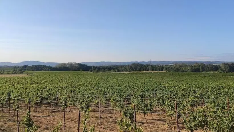 Aamiaismajoitus (B&B) Eco Lodges Lodges In Move   Domaine De Brau