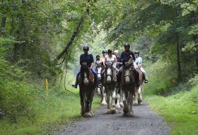 ベッドアンドブレックファースト Raritan Inn