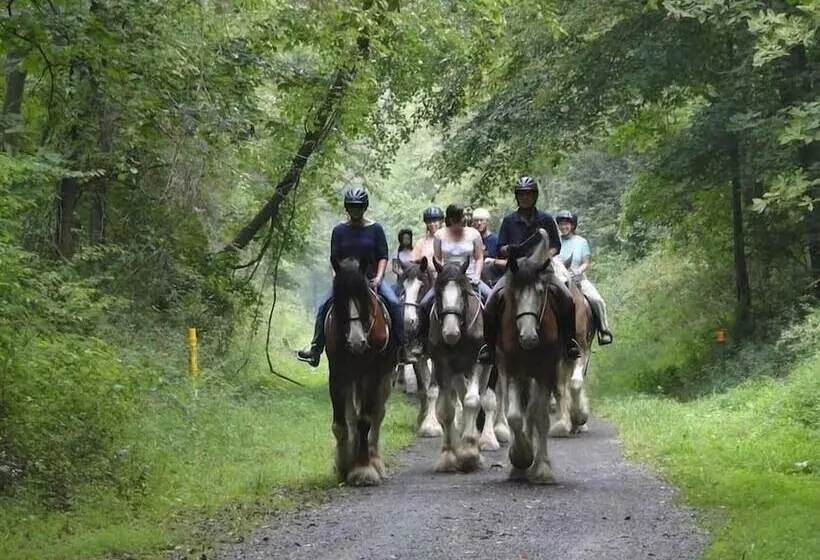 Aamiaismajoitus (B&B) Raritan Inn