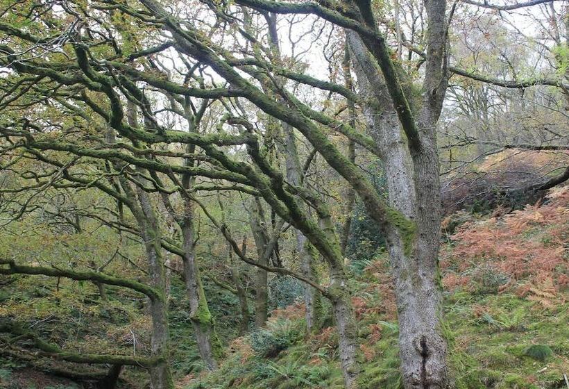 Relaxing Pet Friendly 2 Bed Cottage In Rhandirmwyn