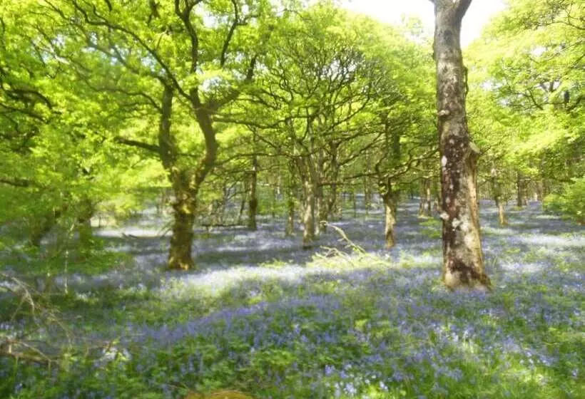 Relaxing Pet Friendly 2 Bed Cottage In Rhandirmwyn