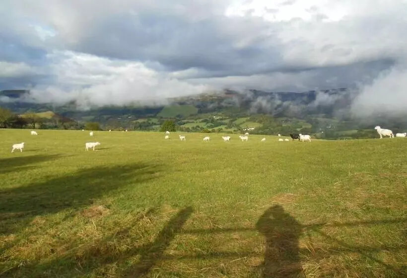 Relaxing Pet Friendly 2 Bed Cottage In Rhandirmwyn